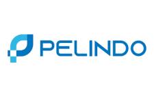 pelindo
